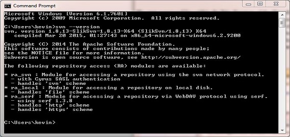 accept Subversion in command window accept Subversion in command window