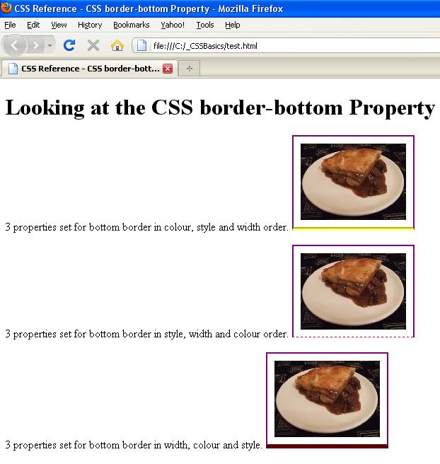 border bottom border bottom
