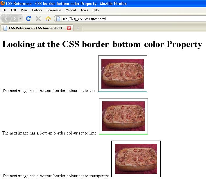 border bottom color border bottom color