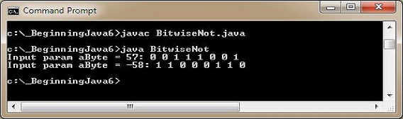 run bitwise not run bitwise not