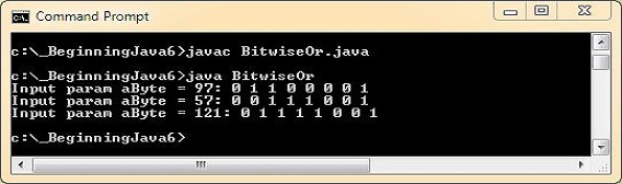run bitwise or run bitwise or