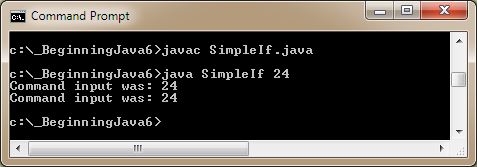run simple if run simple if