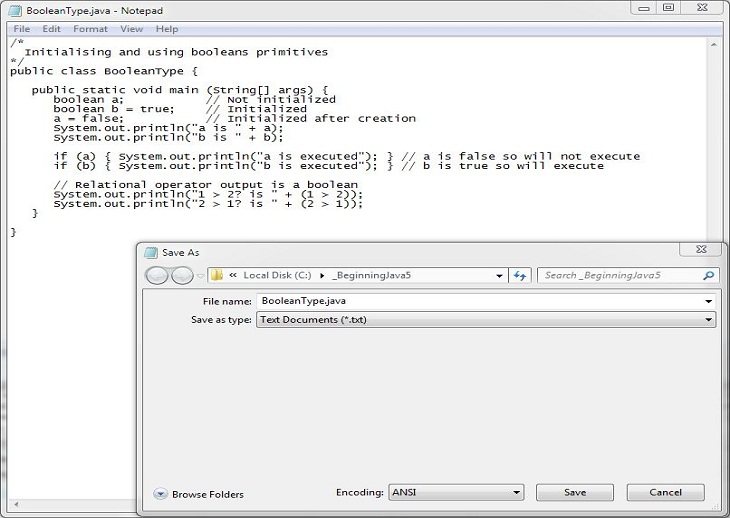 save boolean class save boolean class