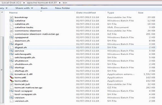 Tomcat6 bin directory Tomcat6 bin directory