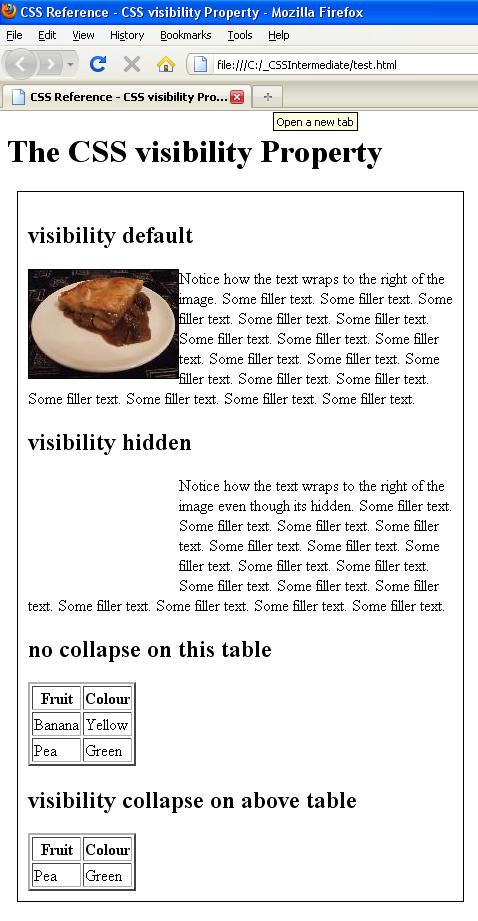 visibility visibility