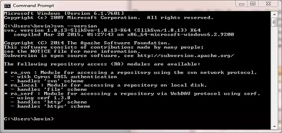 accept Subversion in command window accept Subversion in command window