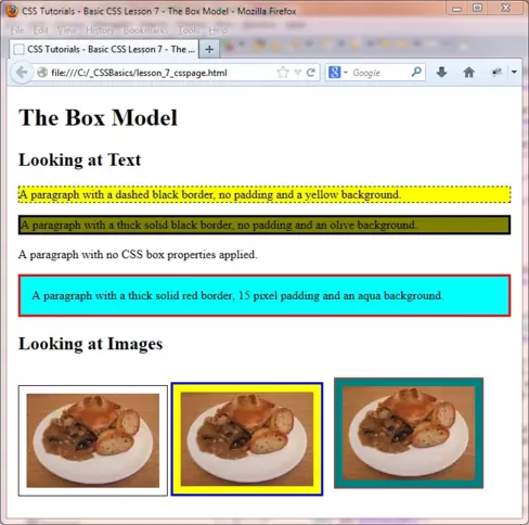 Learn CSS Box Model and its Properties with Examples