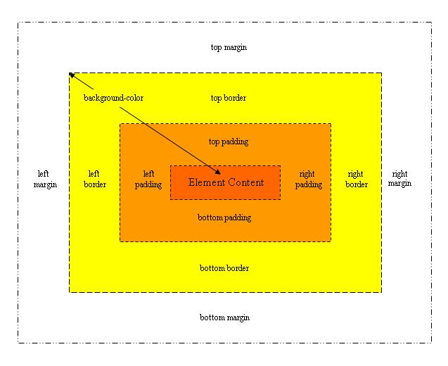 CSS Basic Tutorials - Understanding The Box Model