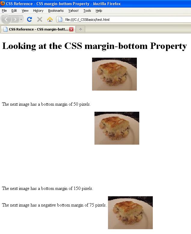Margin Bottom