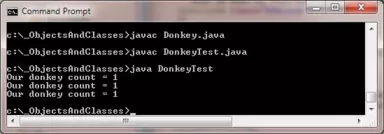 run donkey run donkey