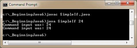 run simple if run simple if