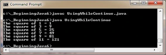 run while using continue run while using continue