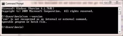 Type svn in command window Type svn in command window